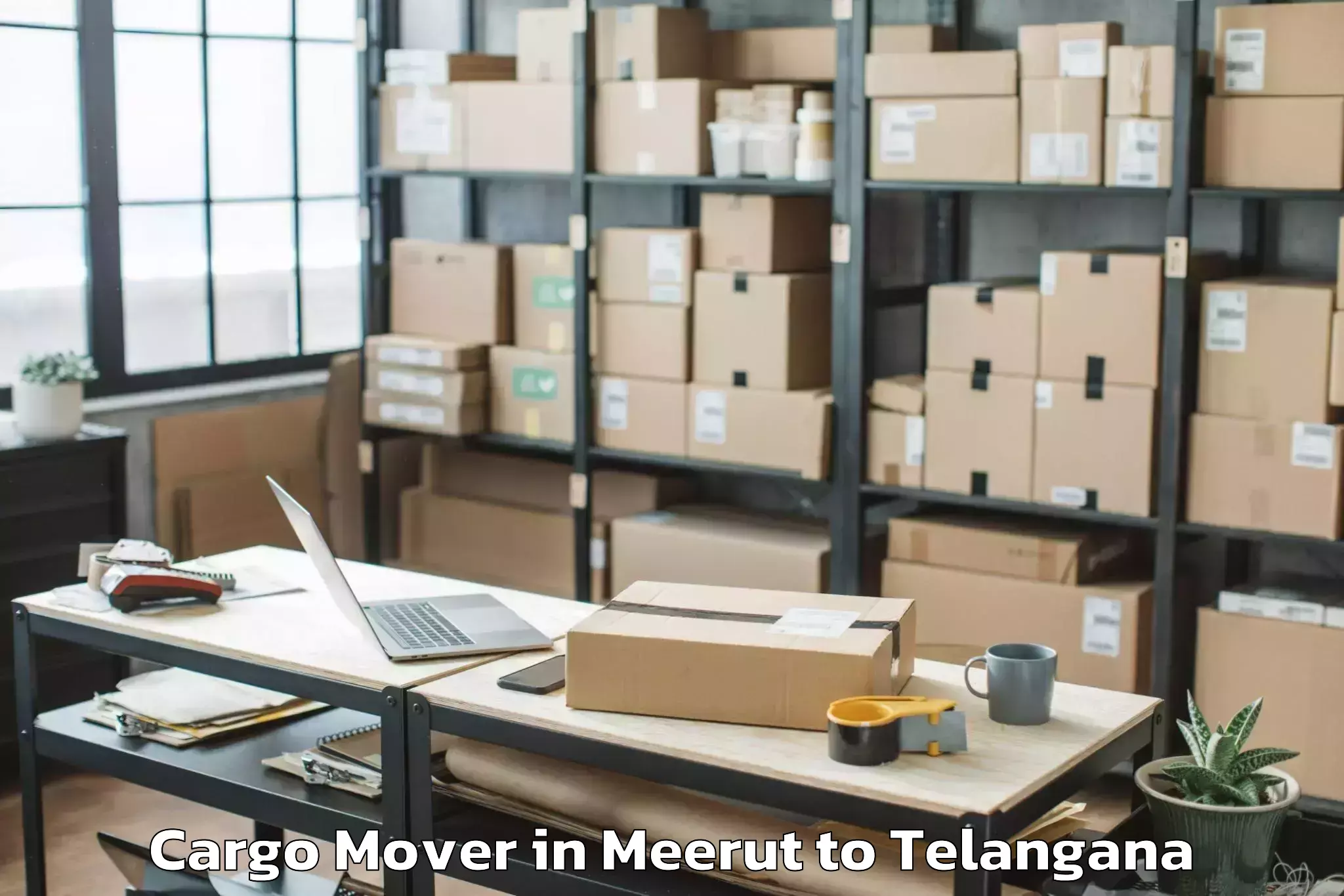 Top Meerut to Metpalle Cargo Mover Available